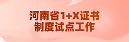 河南省1+X证书制度试点工作