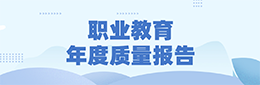 职业教育年度质量报告